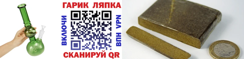 Купить где  Циолковский  ГАШ гарик 