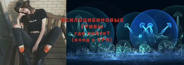 дурь Коряжма