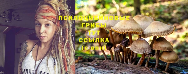 дурь Коряжма