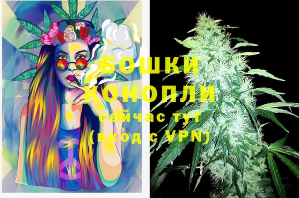бошки Костерёво