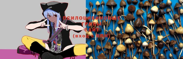 jwh Корсаков