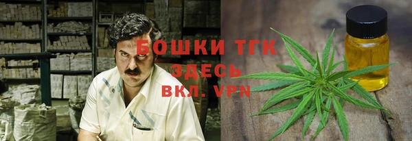 дурь Коряжма