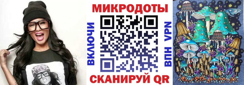 Купить  Циолковский  Псилоцибиновые грибы Cubensis 