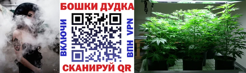 Купить закладки  Циолковский  Марихуана конопля 